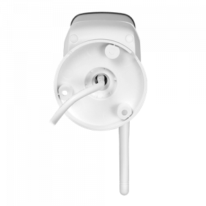 20190615000120_detalle3