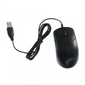 20210920215610_raton