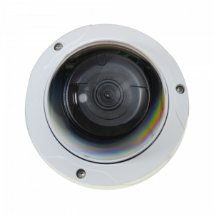 20211204131726_detalle4